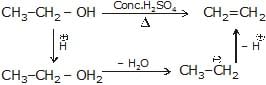Nucleophilic Substitution, Elimination Reactions & Polyhalogen Compounds | Chemistry Class 12 - NEET